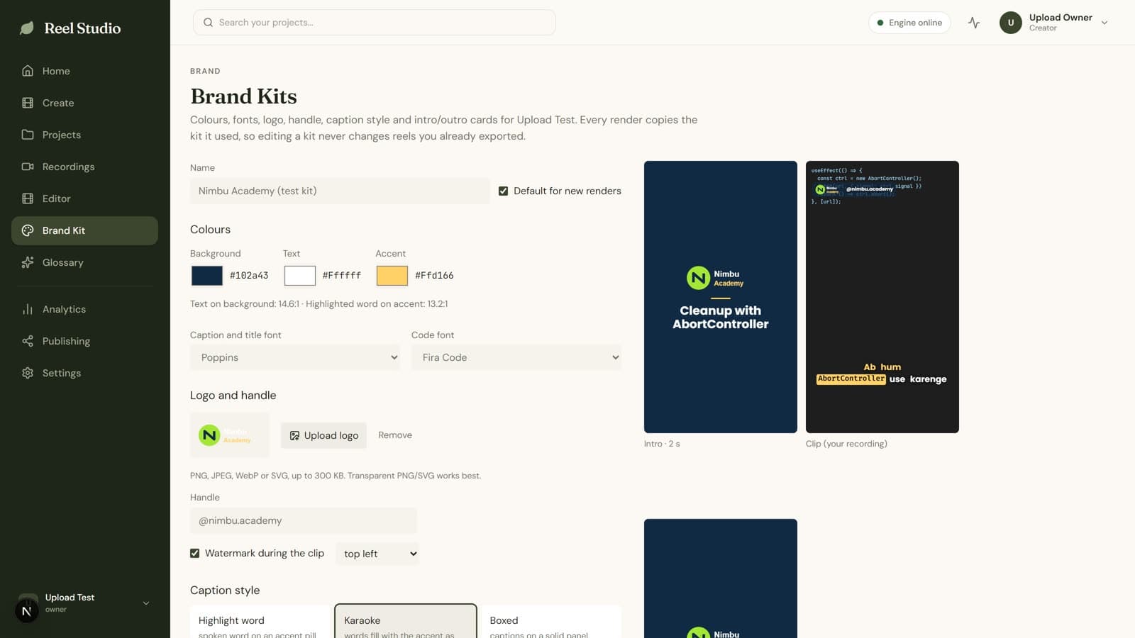 Brand kit editor with live previews